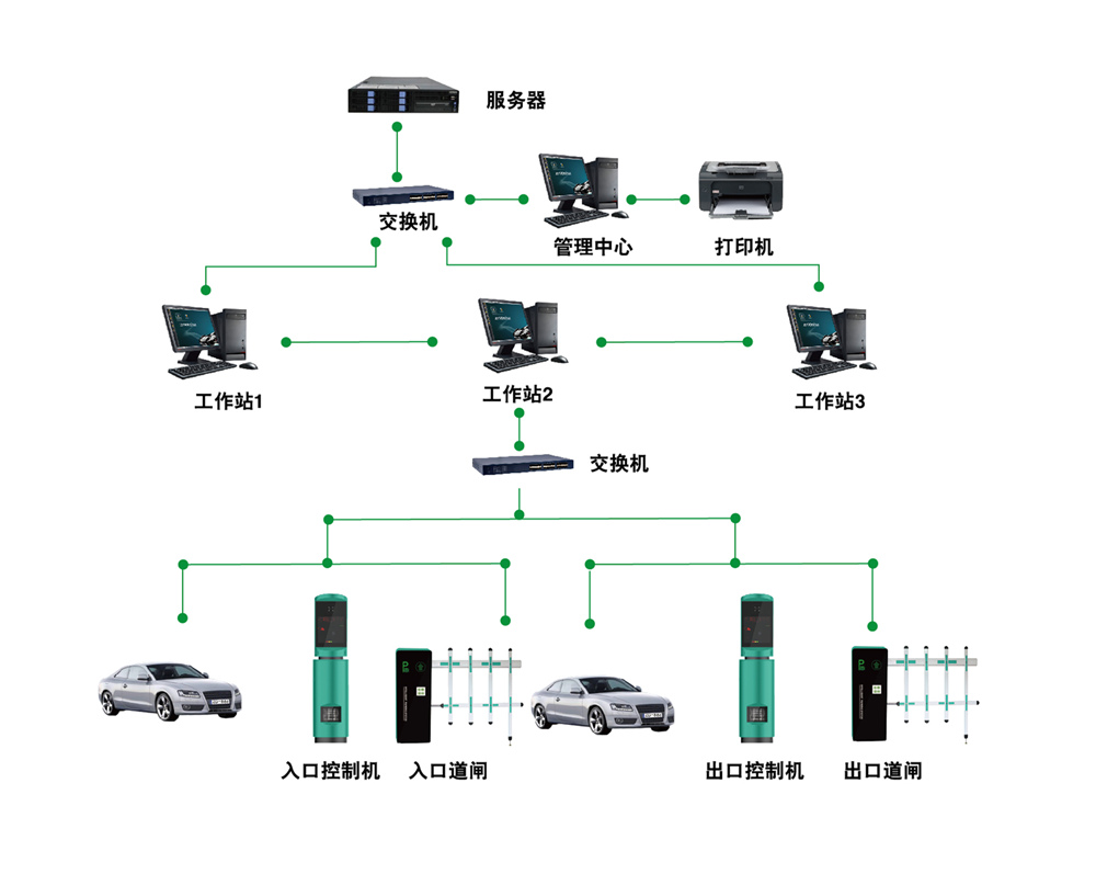 1742653034139026.jpg 4.jpg